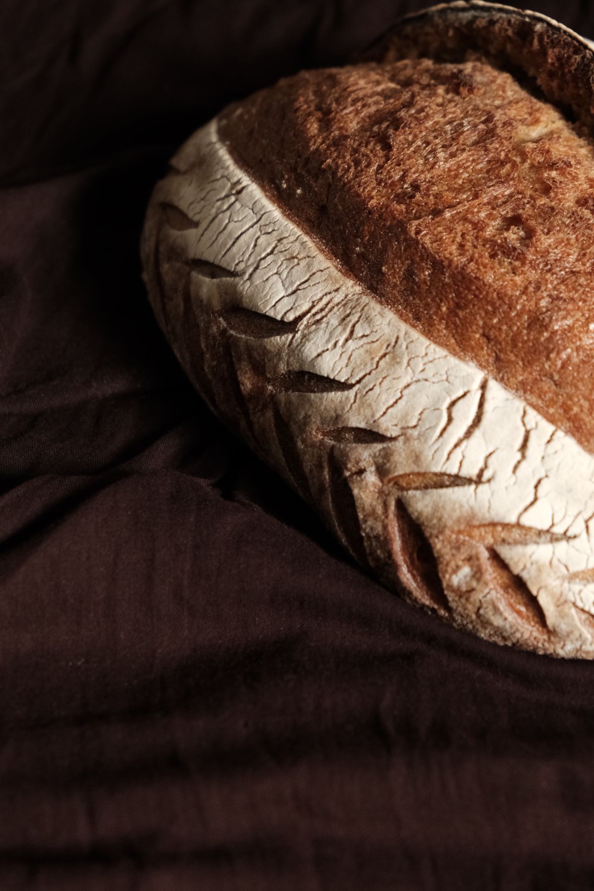 Fresh baked loaves